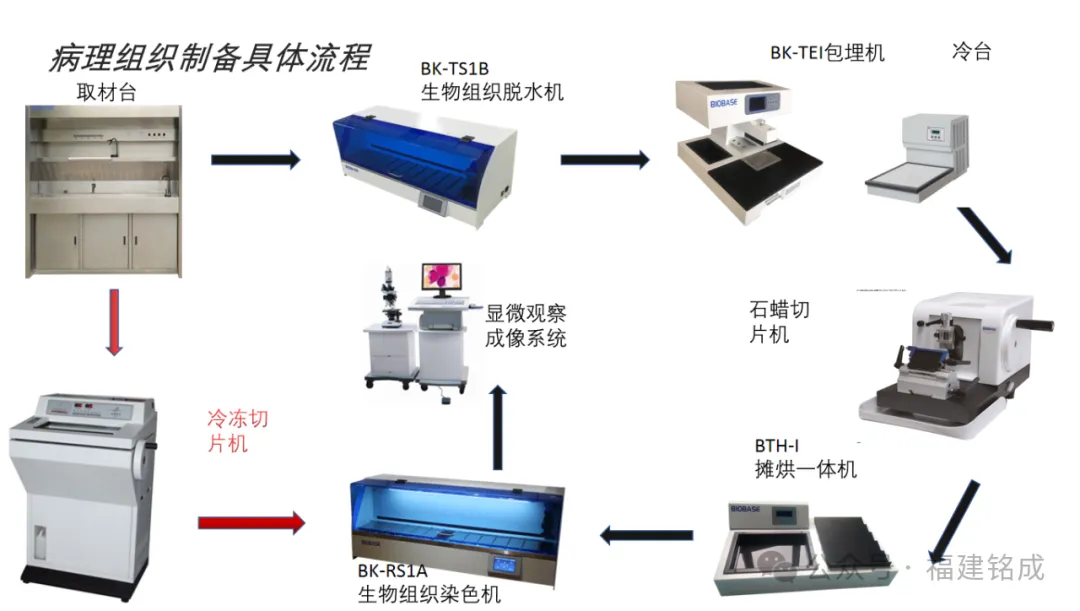 病理科2.jpg